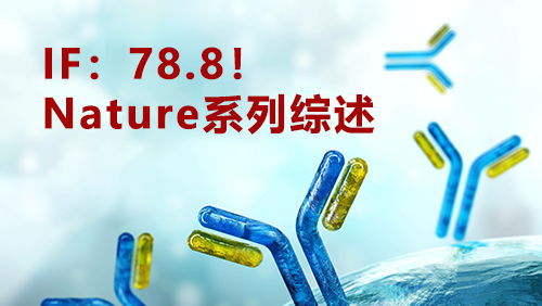 凯发·k8(国际) - 官方网站